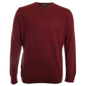 NEW GARNET CLOTHIERS men's merino crew sweater in rust
